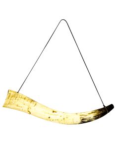 Horn Bugle – Large