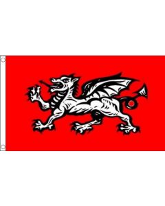 English Wessex Dragon Flag