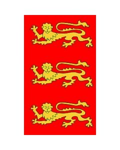 English 3 Lions Banner