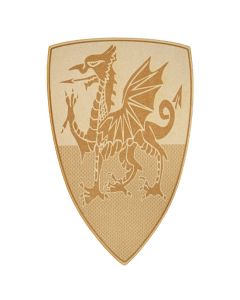 Kid's Pembroke Dragon Shield