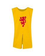 Robert the Bruce Tabard - Child Size