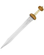 Roman Mainz Gladius