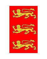 English 3 Lions Banner