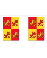 Welsh Owain Glyndwr Bunting - 9 metre