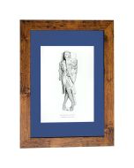 Richard Wellesburne De Montfort Framed Print